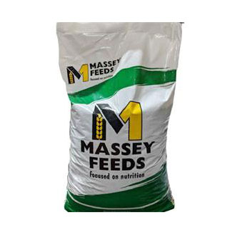 MASSEY