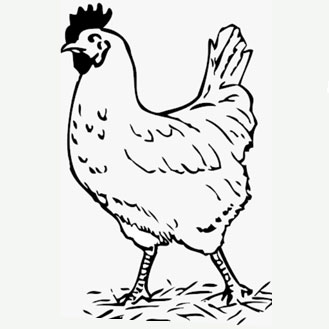 POULTRY