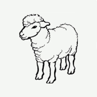 SHEEP AND LAMB