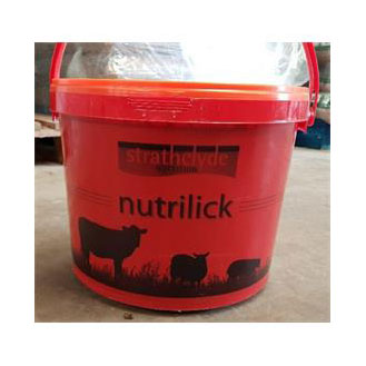 STRATHCLYDE NUTRITI