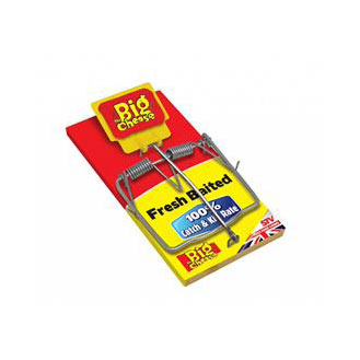 THE BIG CHEESE