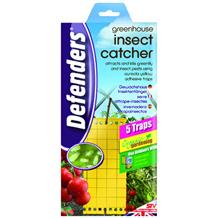 5 Traps Greenhouse Insect Catcher