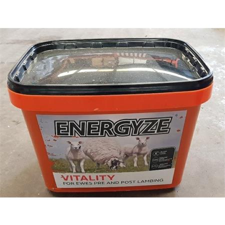 ENERGYZE VITALITY BLOCK 25KG
