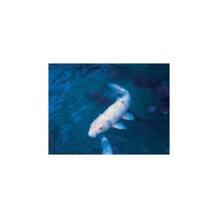 Ambassador Pond Protect Net Black 100 x 2m