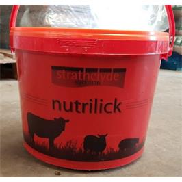 SHEEP MINERAL BUCKET G.P.