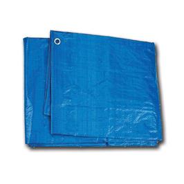 Blue Poly - Tarpaulin
