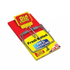 Fresh Baited Rat Trap