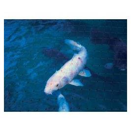 Ambassador Pond Protect Net Black 100 x 2m