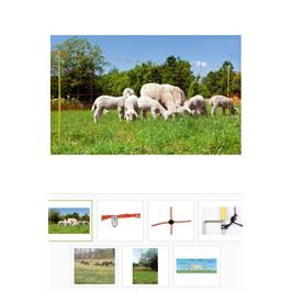 Sheep Net (90cm x 50m)