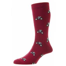 6-11 TRACTOR SOCKS CLARET