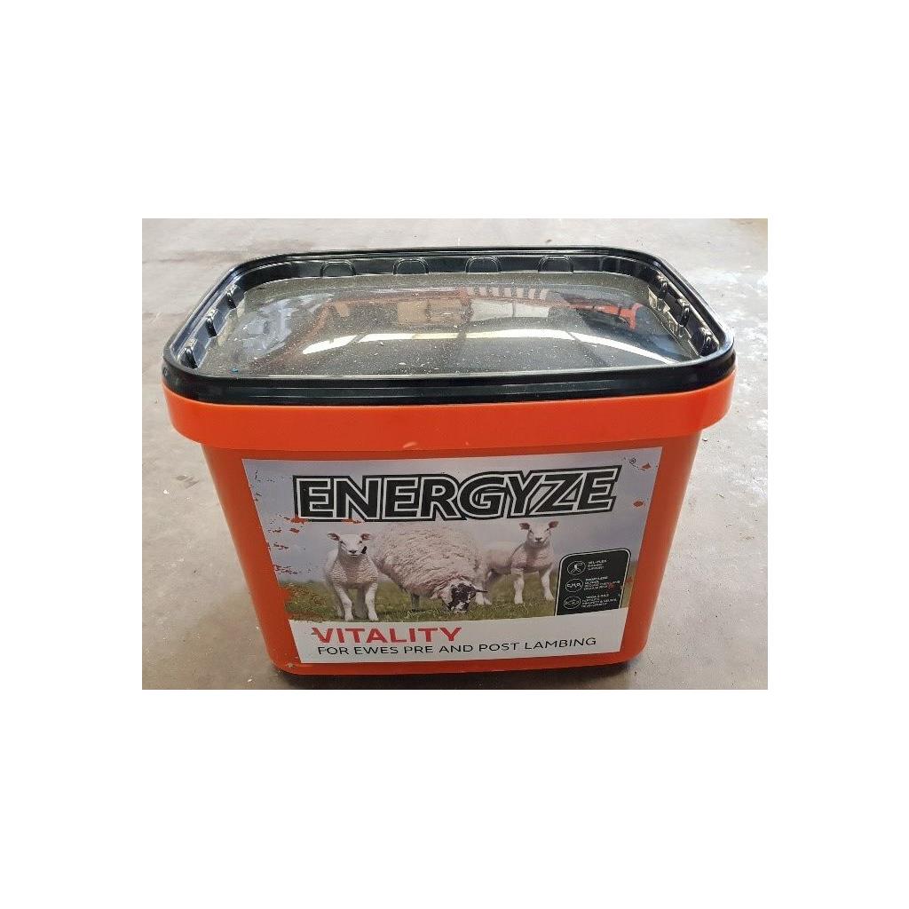 ENERGYZE VITALITY BLOCK 25KG