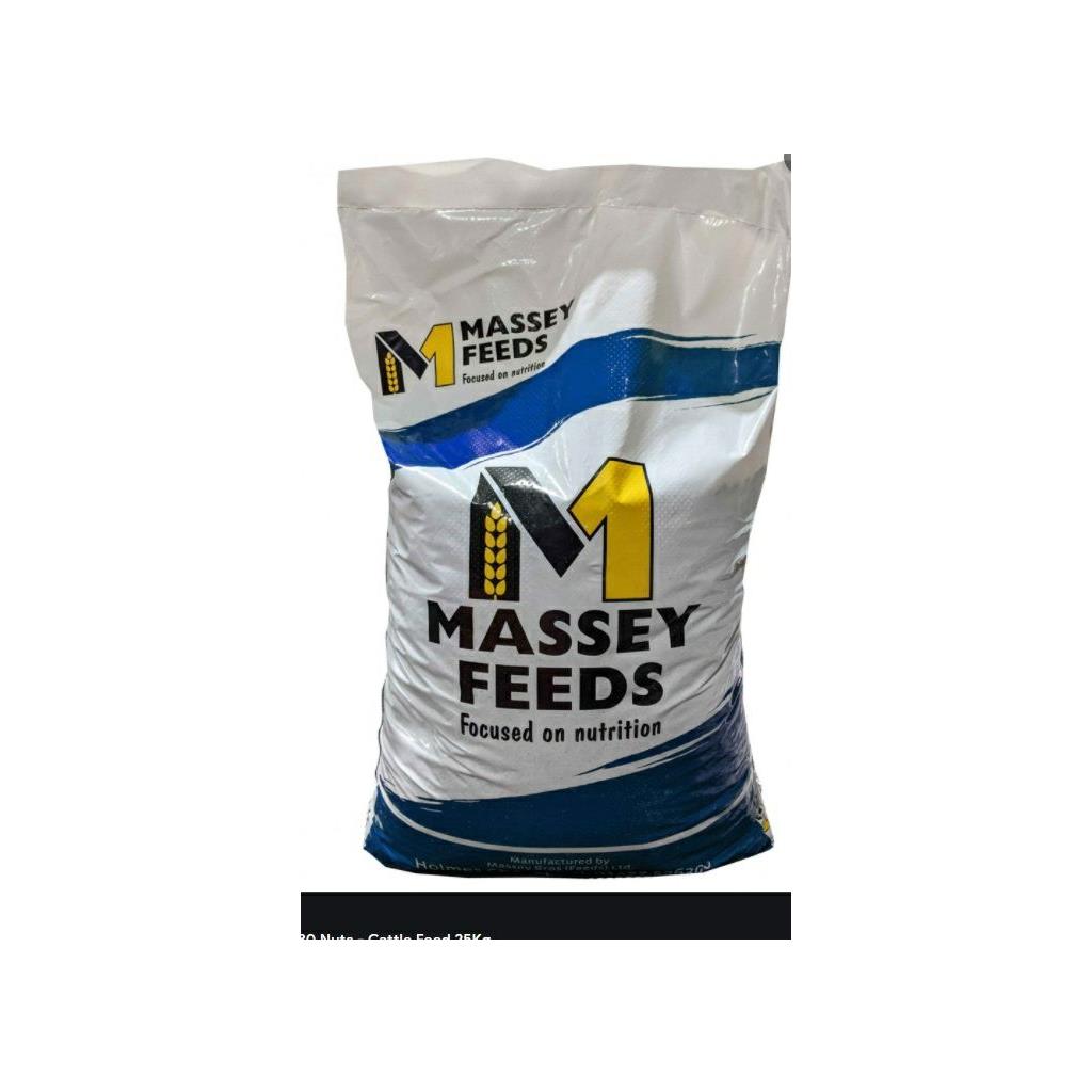 Masseys 70 30 Beef Nuts
